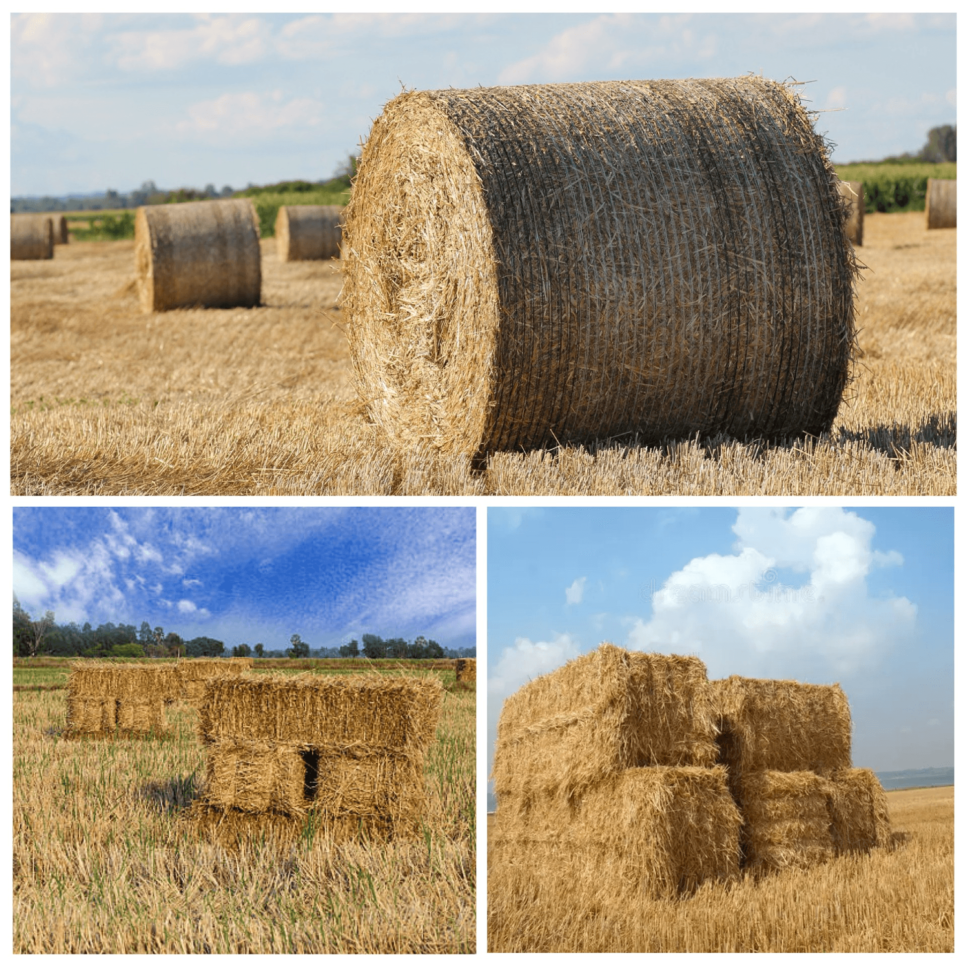 Bale type matching